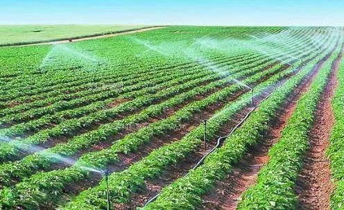 爱爱水水嫩嫩视频农田高 效节水灌溉
